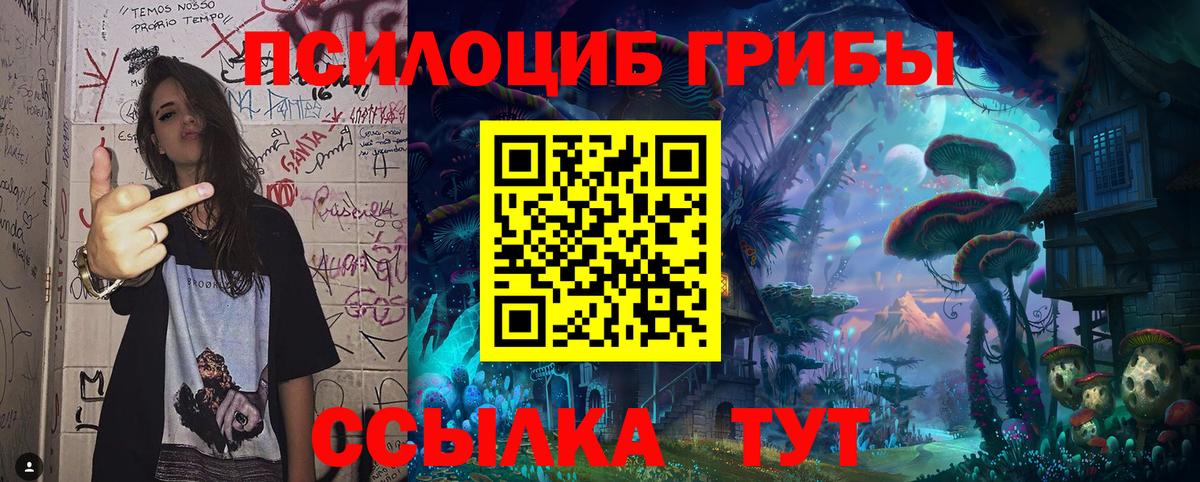 Псилоцибиновые грибы мухоморы Новый Уренгой