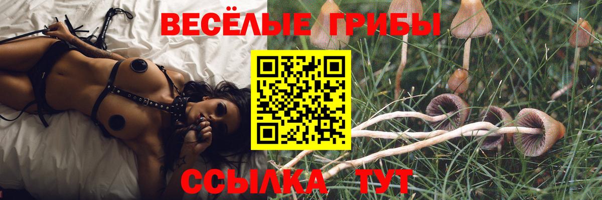 Галлюциногенные грибы MAGIC MUSHROOMS  Вход с VPN  Галлюциногенные грибы MAGIC MUSHROOMS  Новый Уренгой 